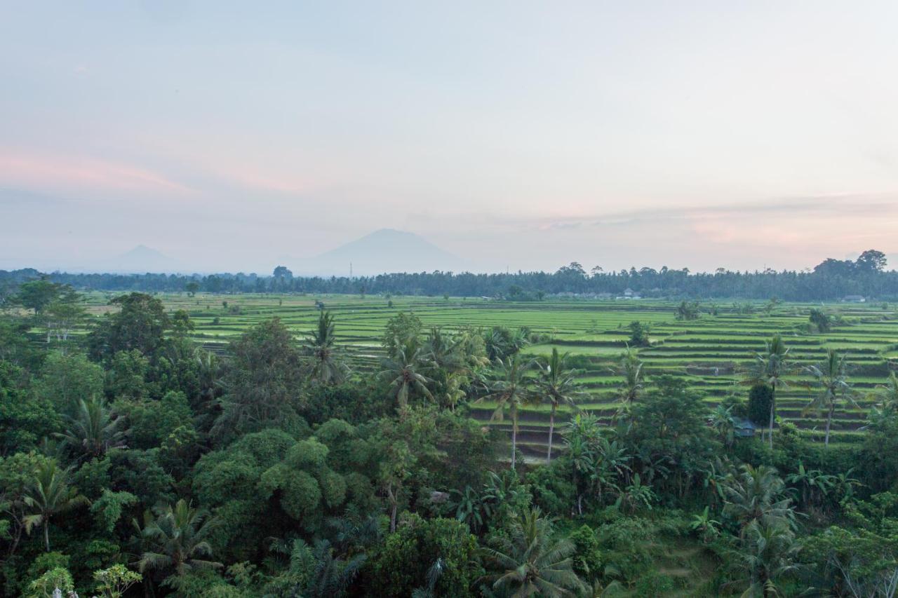 Seres Springs Resort & Spa, Singakerta Ubud Dış mekan fotoğraf